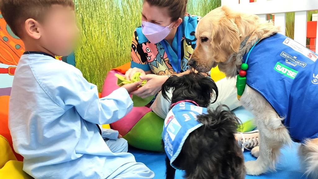 Un niño rodeado de perros en una de las terapias caninas.