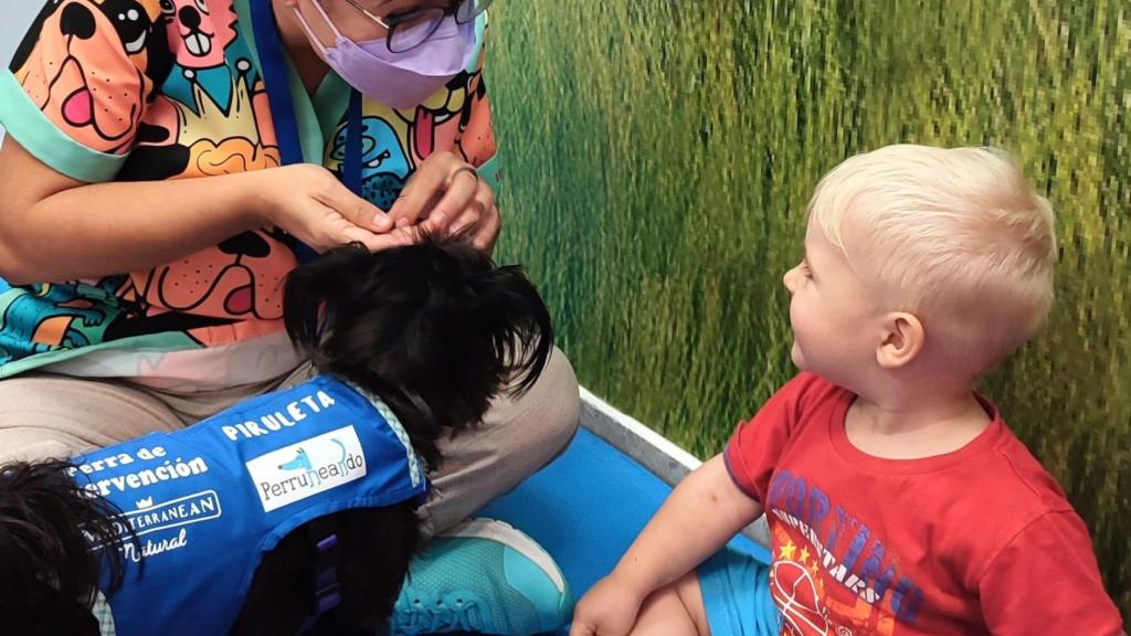 Un niño con uno de los perretes en el hospital.