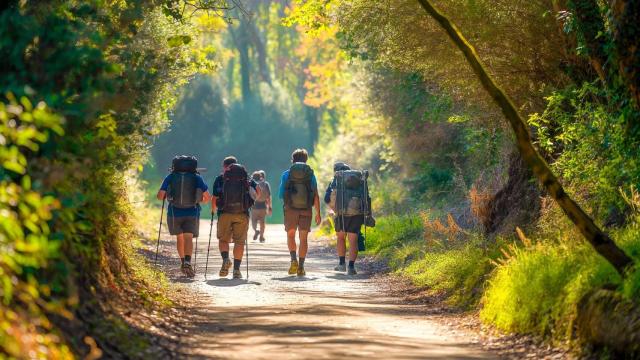 Peregrinos percorriendo el Camino de Santiago.