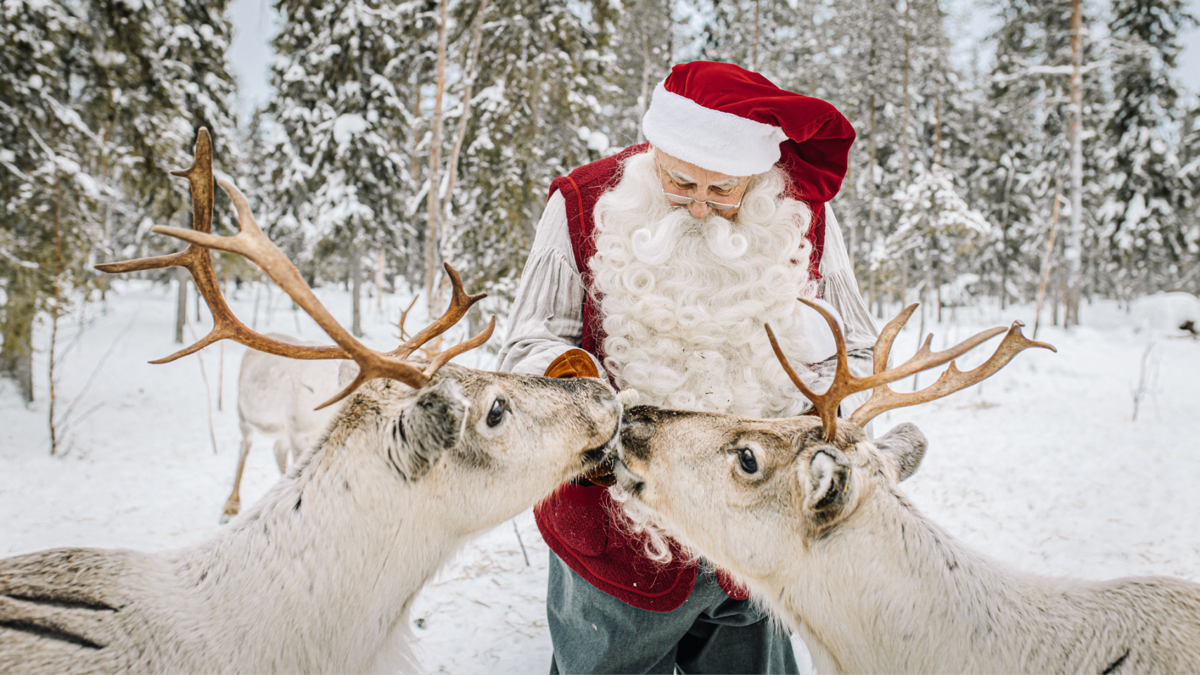 Papá Noel con renos en Laponia.