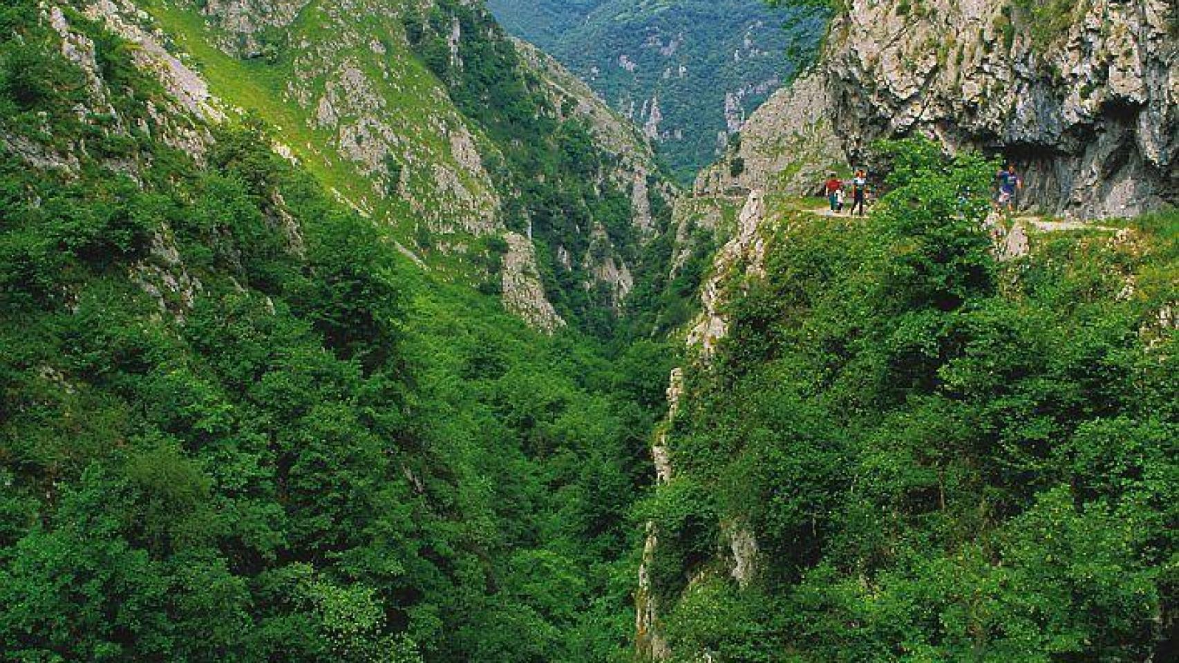 Naturaleza en Asturias.