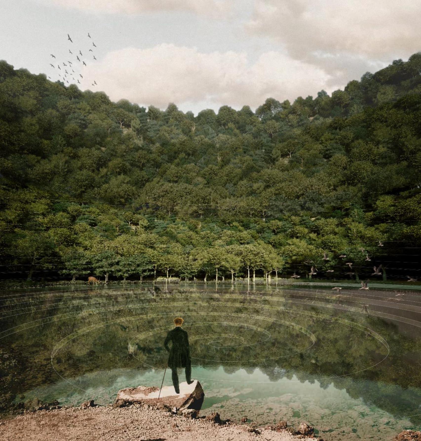 El bosque desciende de forma concéntrica.