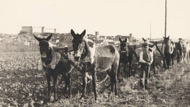 Escena agrícola en la zona sublevada durante la Guerra Civil.