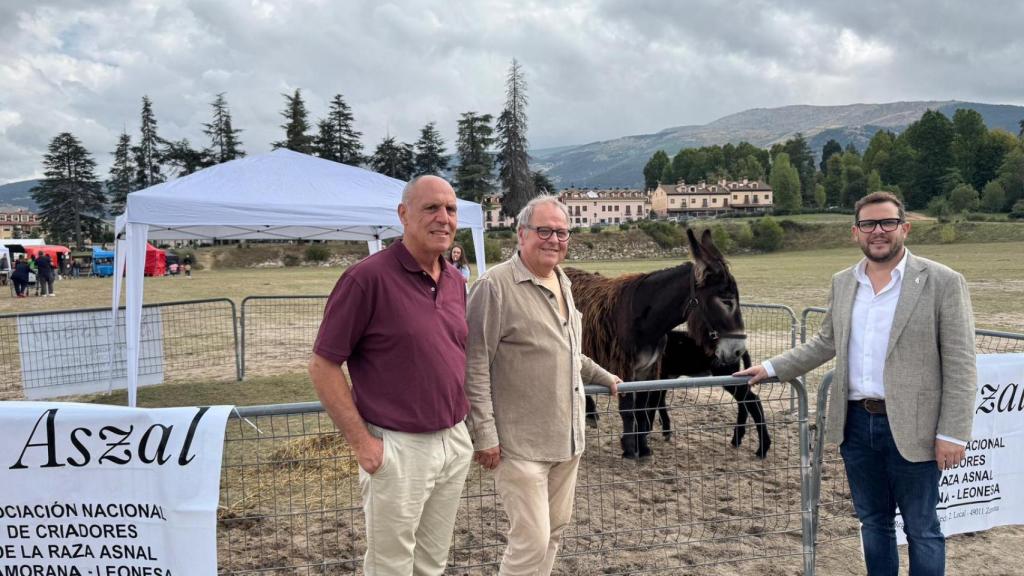 La Asociación Nacional de Criadores de la Raza Asnal Zamorano-leonesa, presente en Naturcyl con el Patronato de Turismo de Zamora