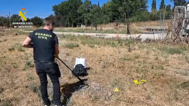 Investigan a dos personas por abatir y herir a dos gatos con armas en Valladolid