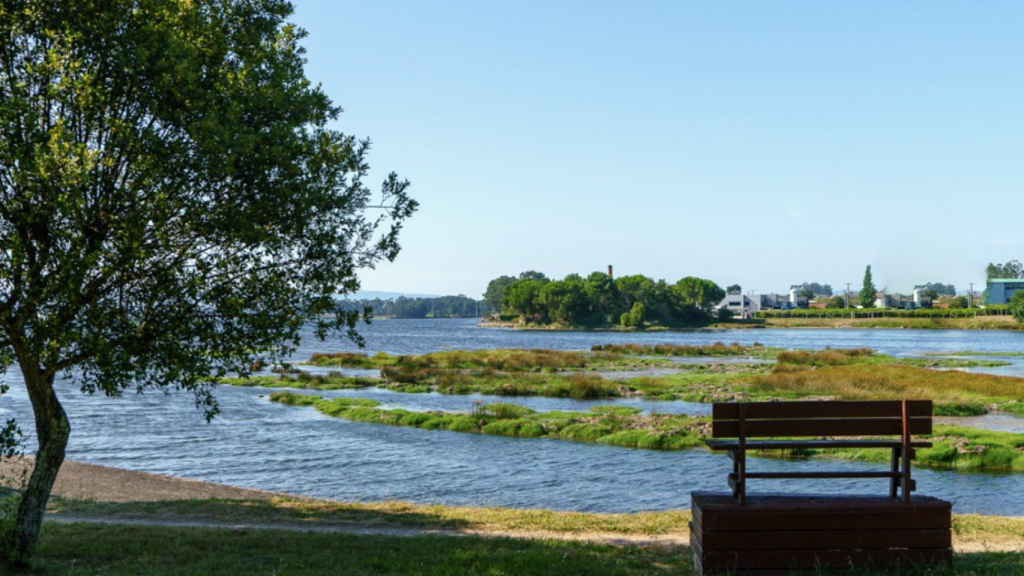 Estuario del río Chanca