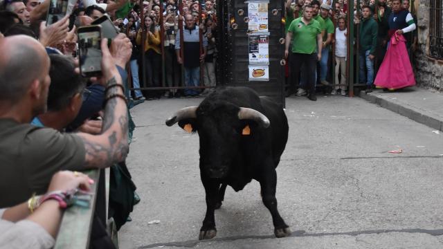 Toro del Clarete en la Fiesta de la Vendimia de Cigales