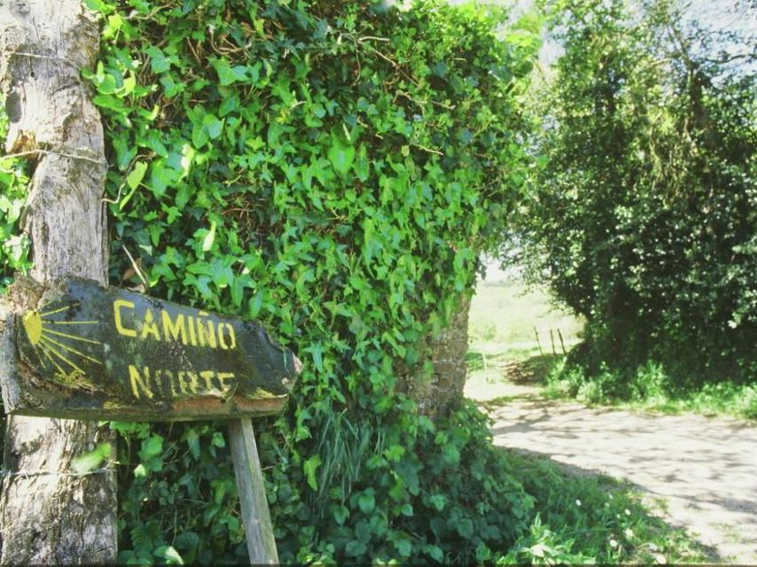 Tramo del Camino del Norte, itinerario seguido por Martiros. https://www.caminodesantiago.gal