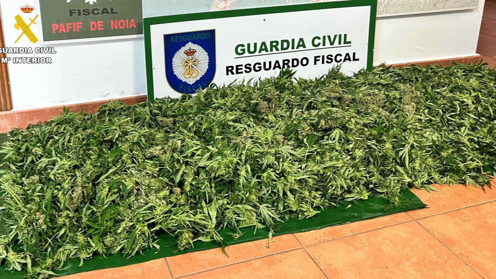 Parte de la marihuana incautada