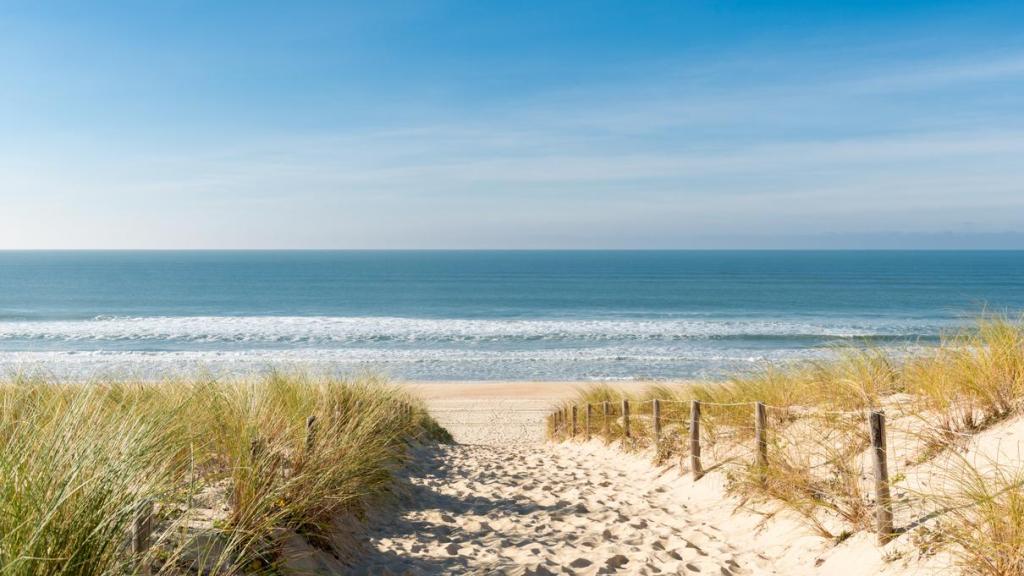 Dunas en la playa.