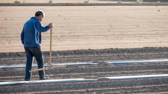 Un agricultor, en una imagen de Shutterstock.