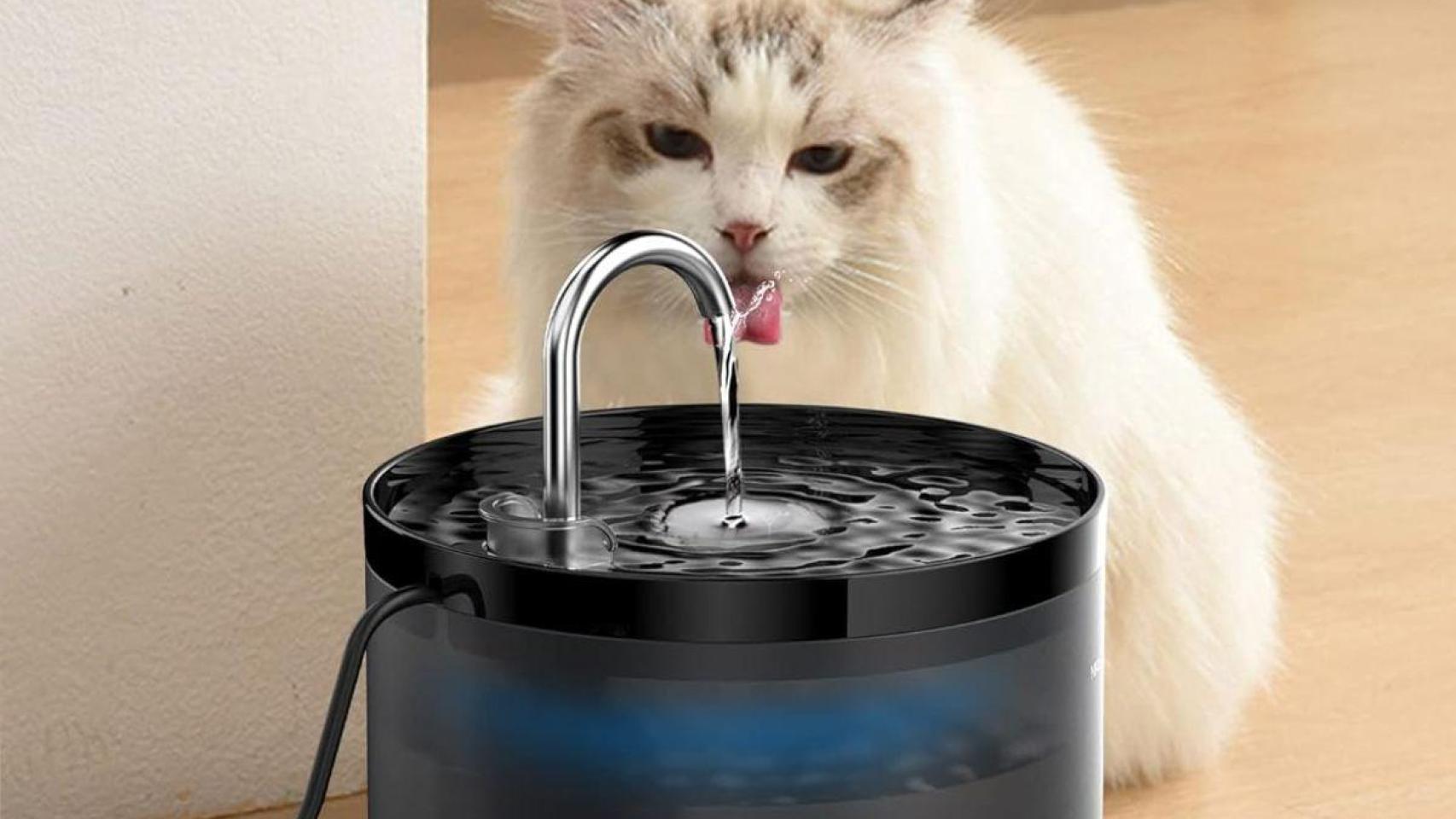 La fuente para gatos que mantiene hidratada a tu mascota tiene 18.000 valoraciones y ahora cuesta menos de 20€ en Amazon