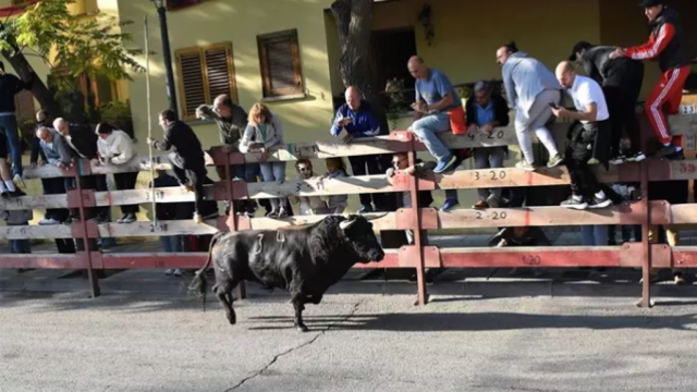 Muere el hombre corneado varias veces en el pierna durante un encierro en Villaviciosa de Odón