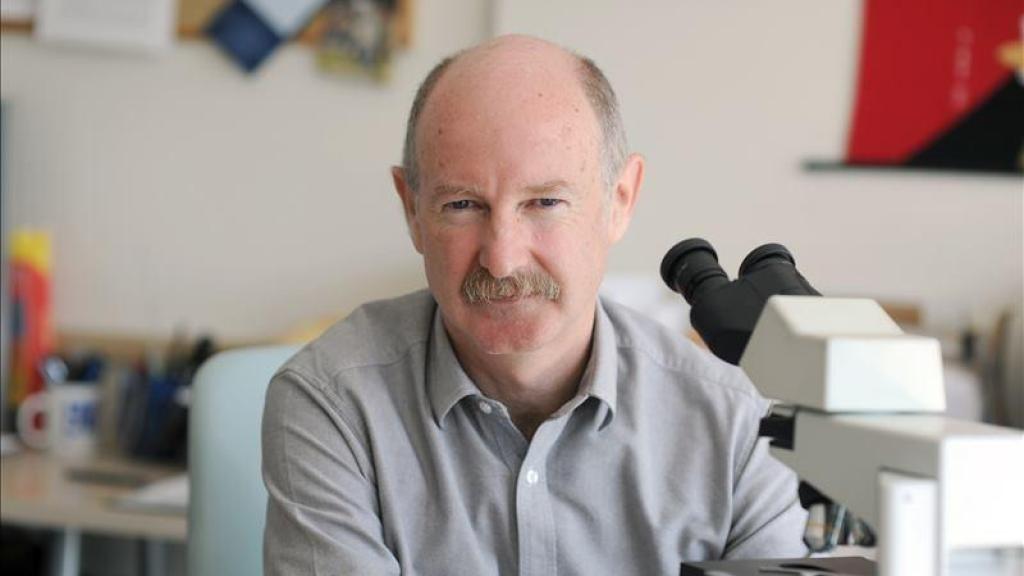 El neurobiólogo Rafael Yuste, autor de 'El cerebro, el teatro del mundo'. Foto: archivo del autor