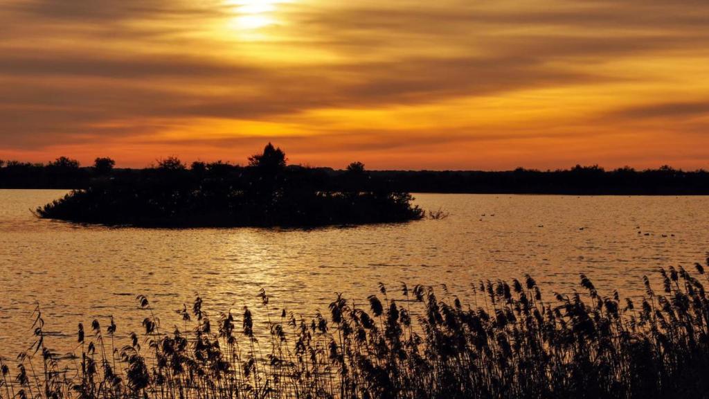 Humedal del Parque Nacional de Doñana al atardecer.