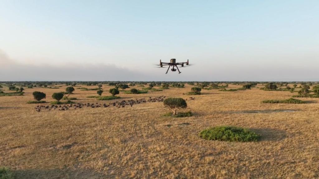 El dron Matrice 300 con cámara Zenmuse H30T sobrevolando el Parque Nacional Reina Isabel (Uganda)