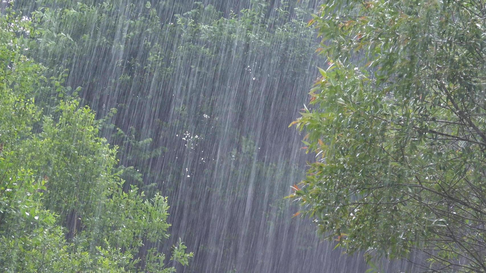 Una jornada de intensas precipitaciones