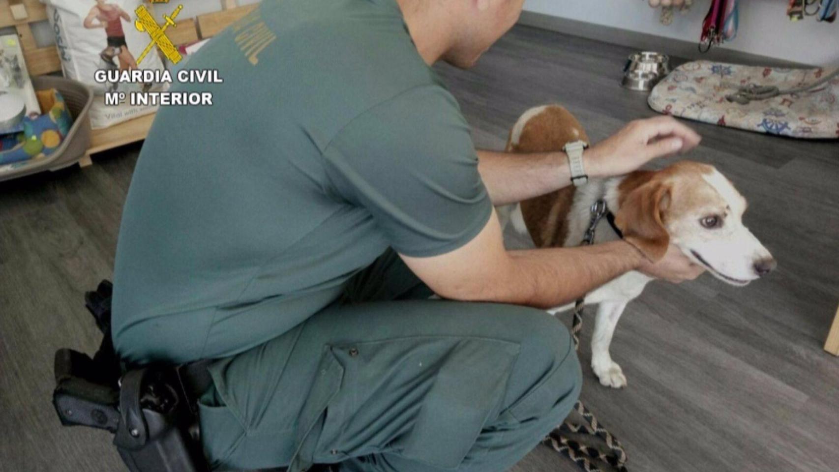 Un agente de la Guardia Civil con un perro, en una imagen de archivo.