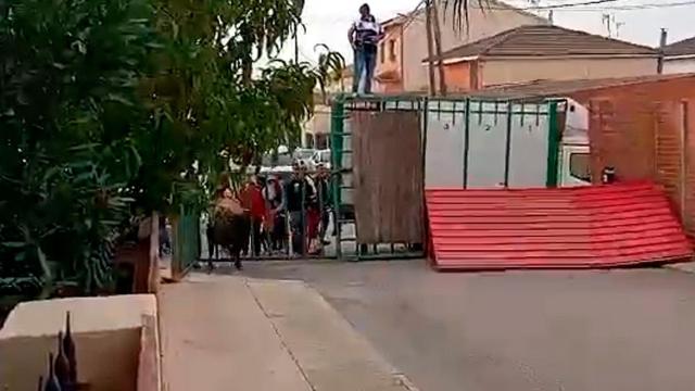 VÍDEO | Un toro embiste y mata a un hombre de 74 años en Pantoja (Toledo)