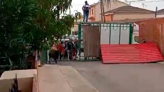 Un muerto y tres heridos, entre ellos una menor, tras ser embestidos por un toro en un encierro de Pantoja