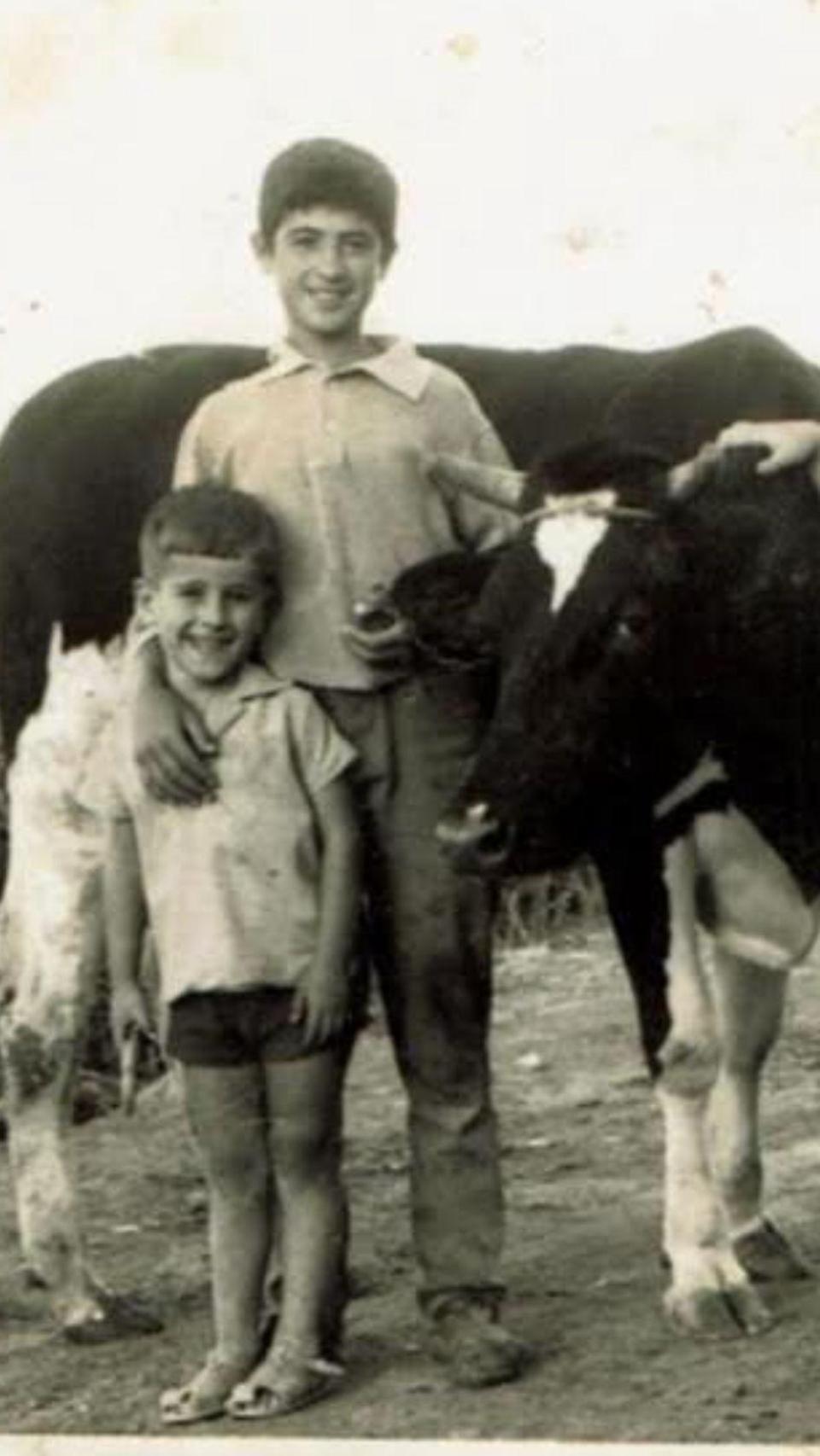 Jesús (abajo) y José Luis (arriba), con una vaca, de pequeños.