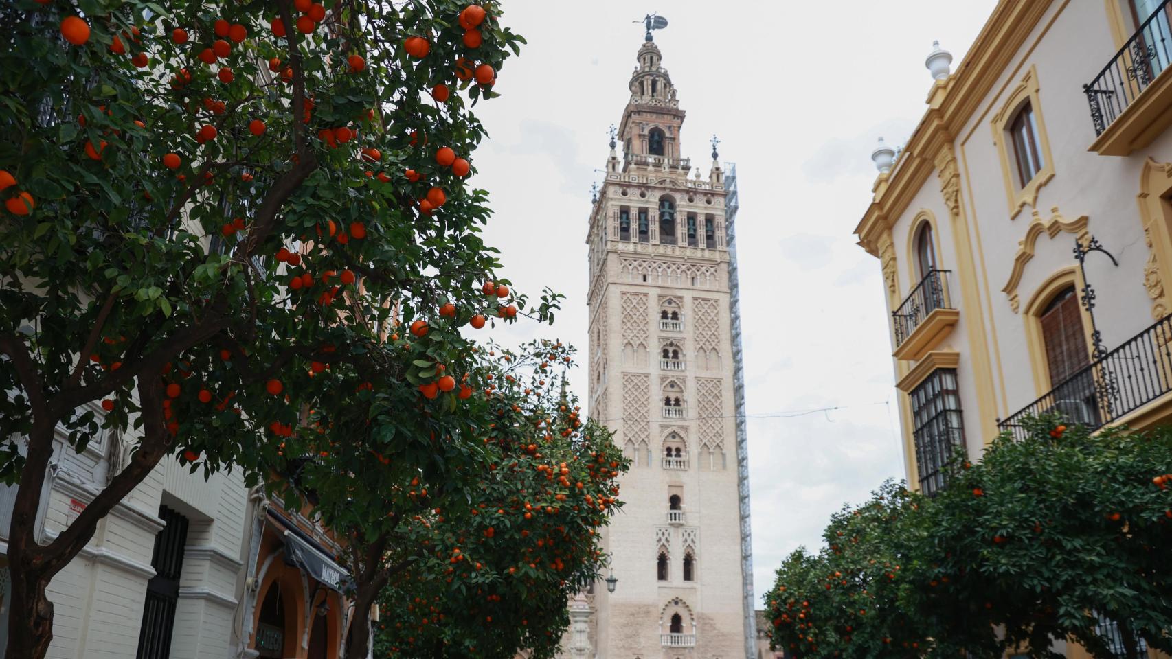 Imagen de la Giralda.