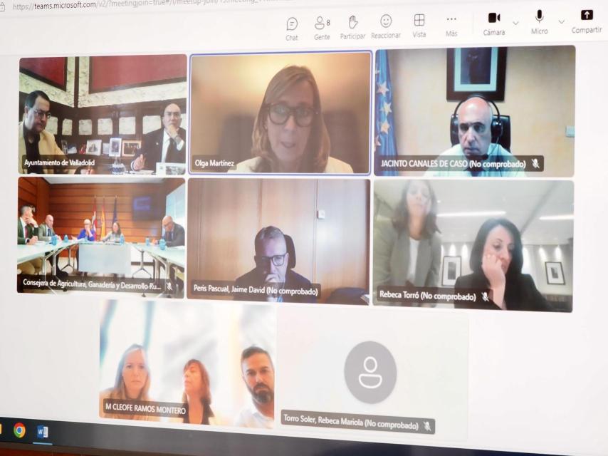 Reunión online con representantes de Bimbo España, Junta, Ayuntamiento de Valladolid y Gobierno