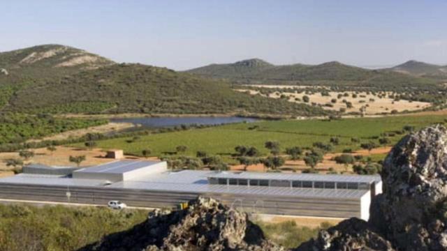 Foto: Bodega Casalobos