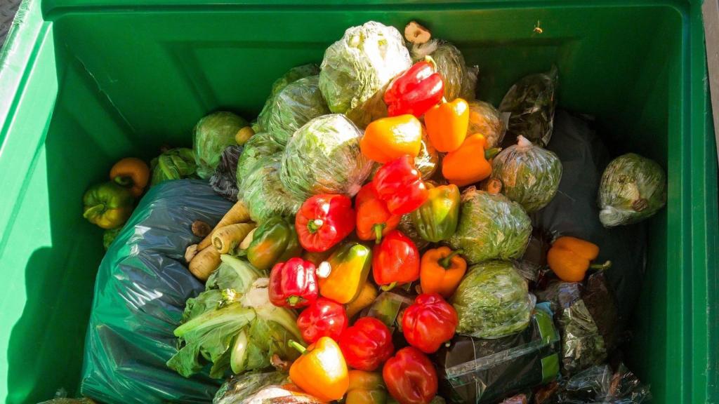 Frutas y hortalizas tiradas a la basura.