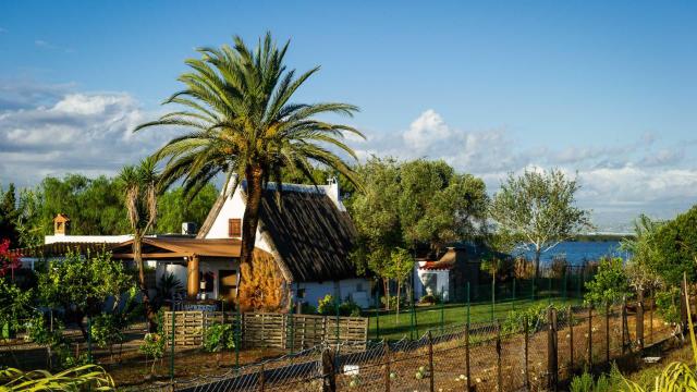 El restaurante donde mejor se come de la Albufera de Valencia: una fusión de cocina tradicional y creativa