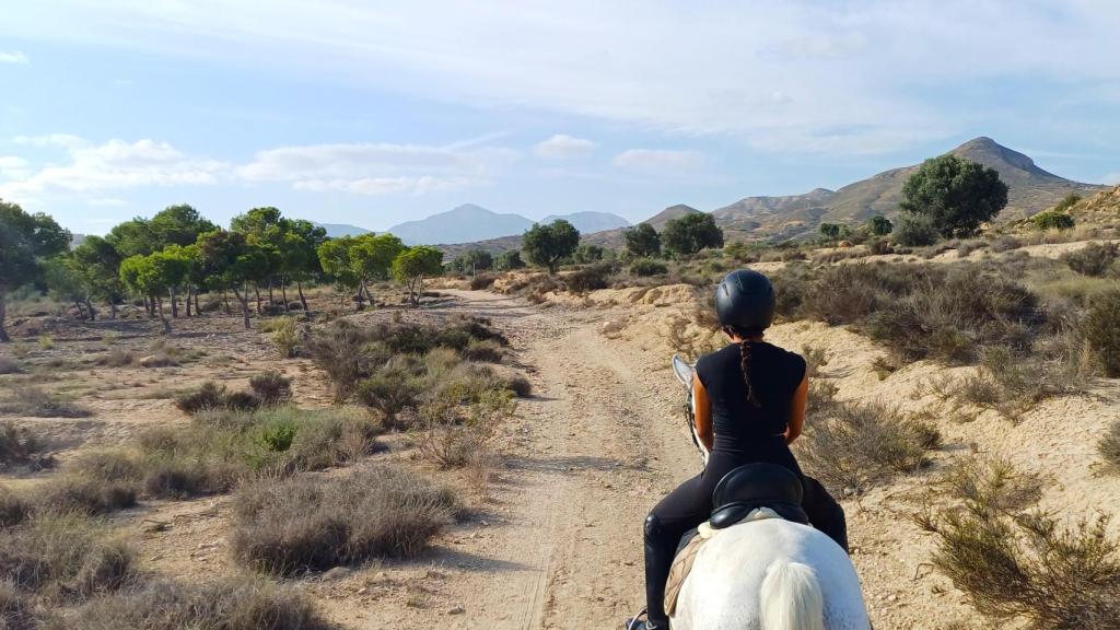 Vistas al Valle desde el lomo de un caballo.