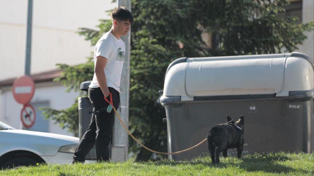 Un vecino de Carbajosa de la Sagrada pasea a su perro