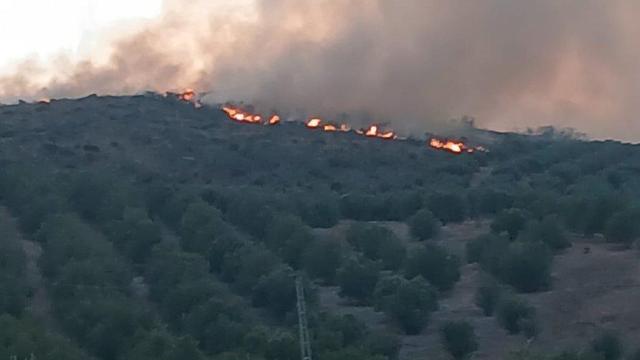 Imagen del Incendio forestal de Alcaucín.