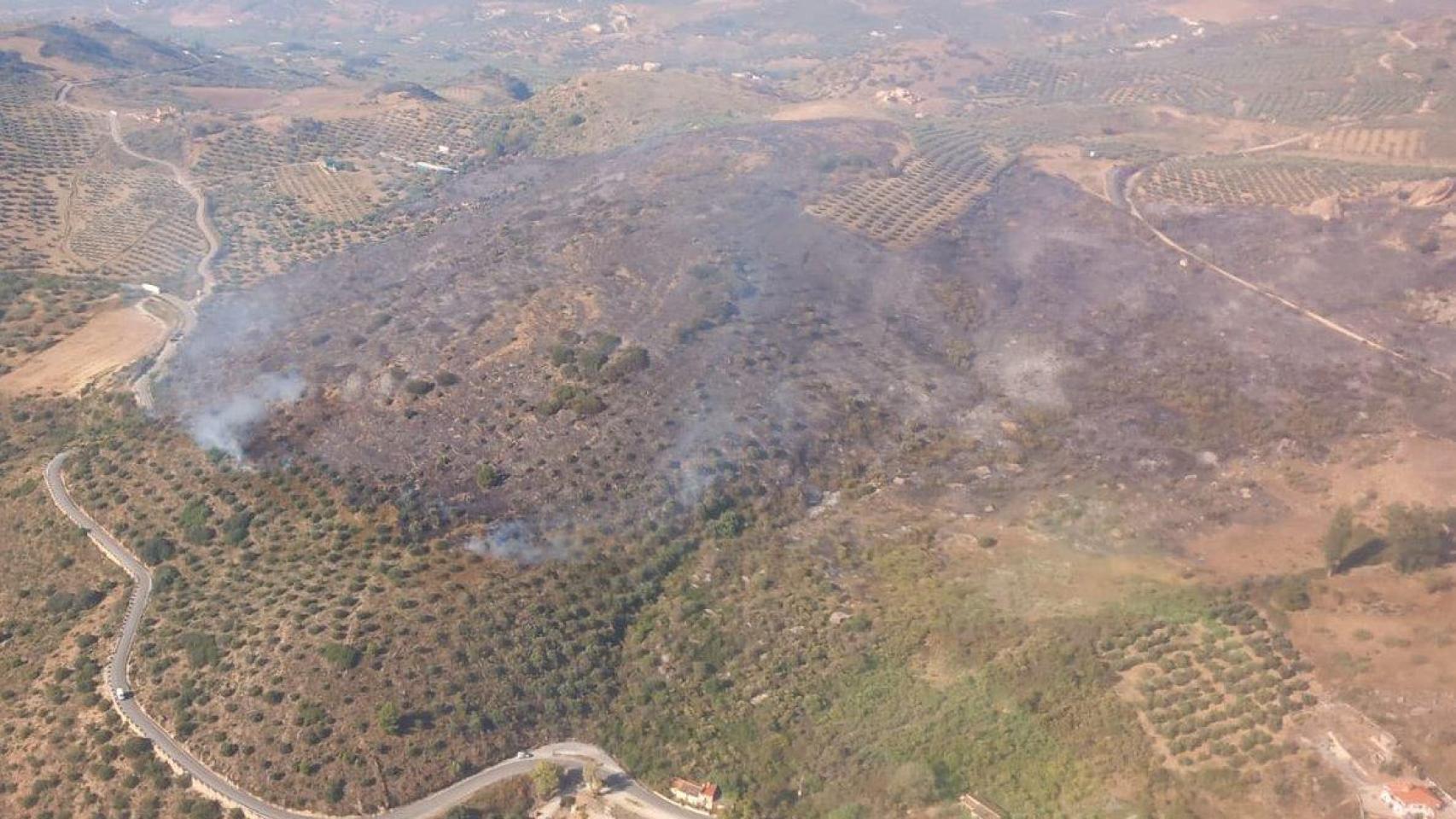 Zona afectada por el incendio forestal de Alcaucín (Málaga).