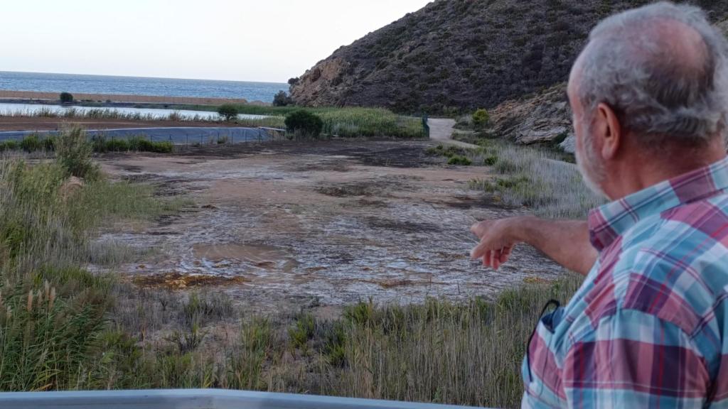 El profesor de la Universidad de Murcia, Pedro Baños, señala unas formaciones de 'arenas amarillas' sobre la Bahía de Portmán.