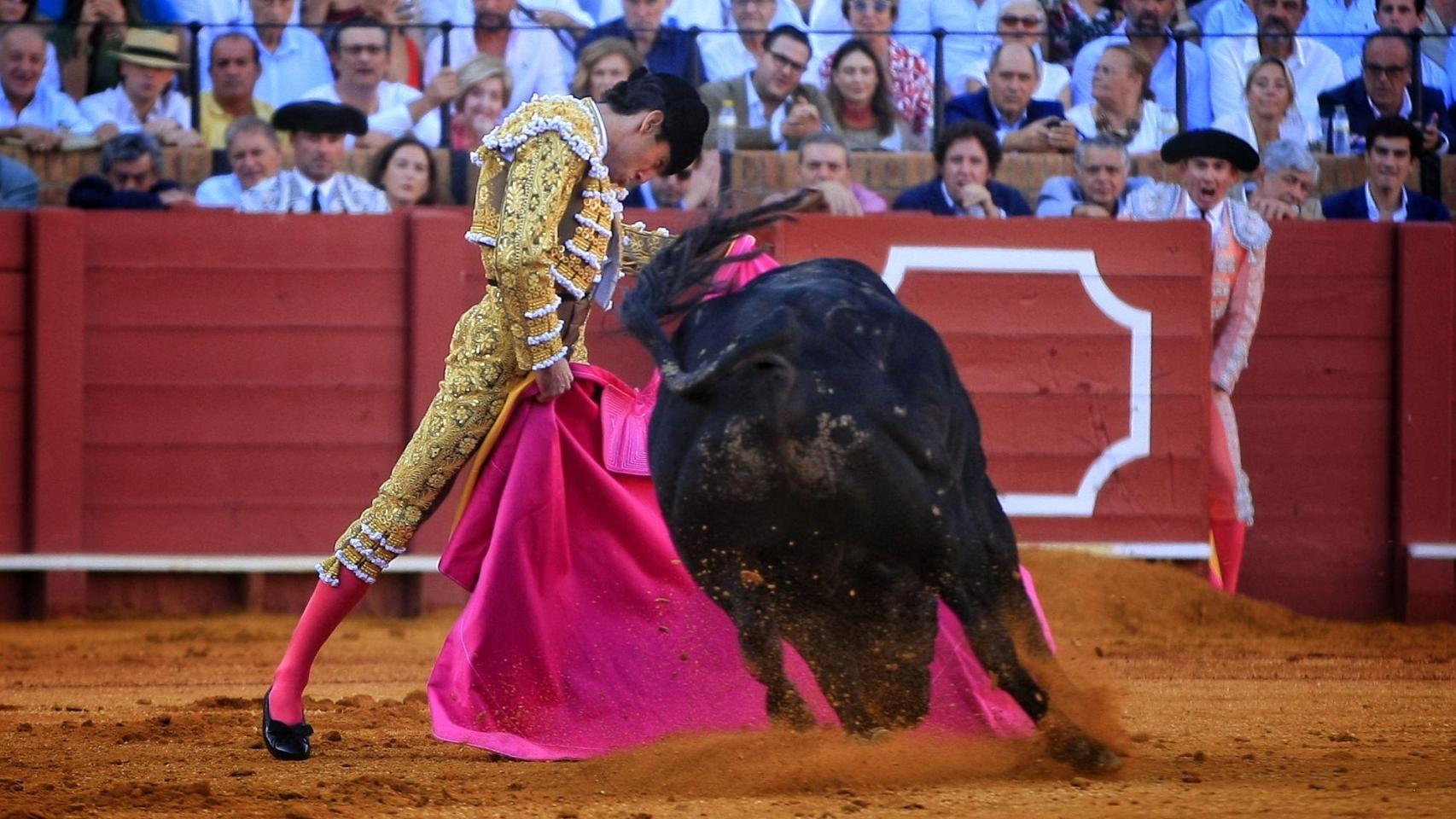 Juan Ortega toreando a la verónica en la Maestranza de Sevilla.