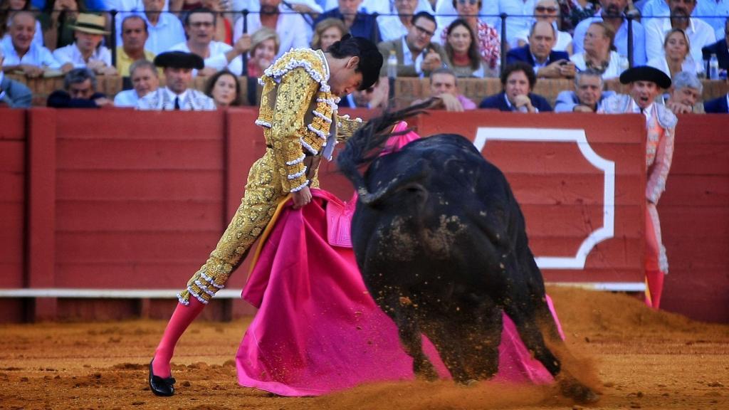 Juan Ortega toreando a la verónica en la Maestranza de Sevilla.