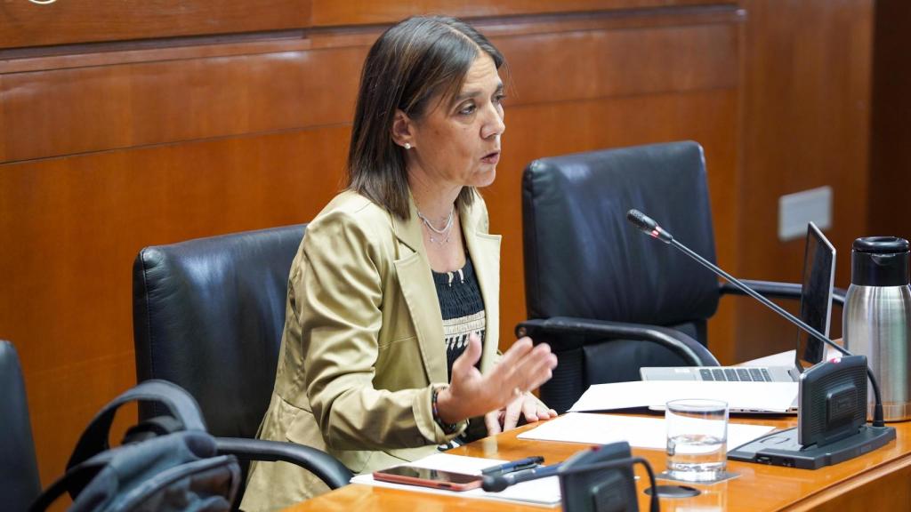 La interventora de la Comunidad, Ana Gómez Barrionuevo, ha comparecido este lunes en la Comisión de Hacienda