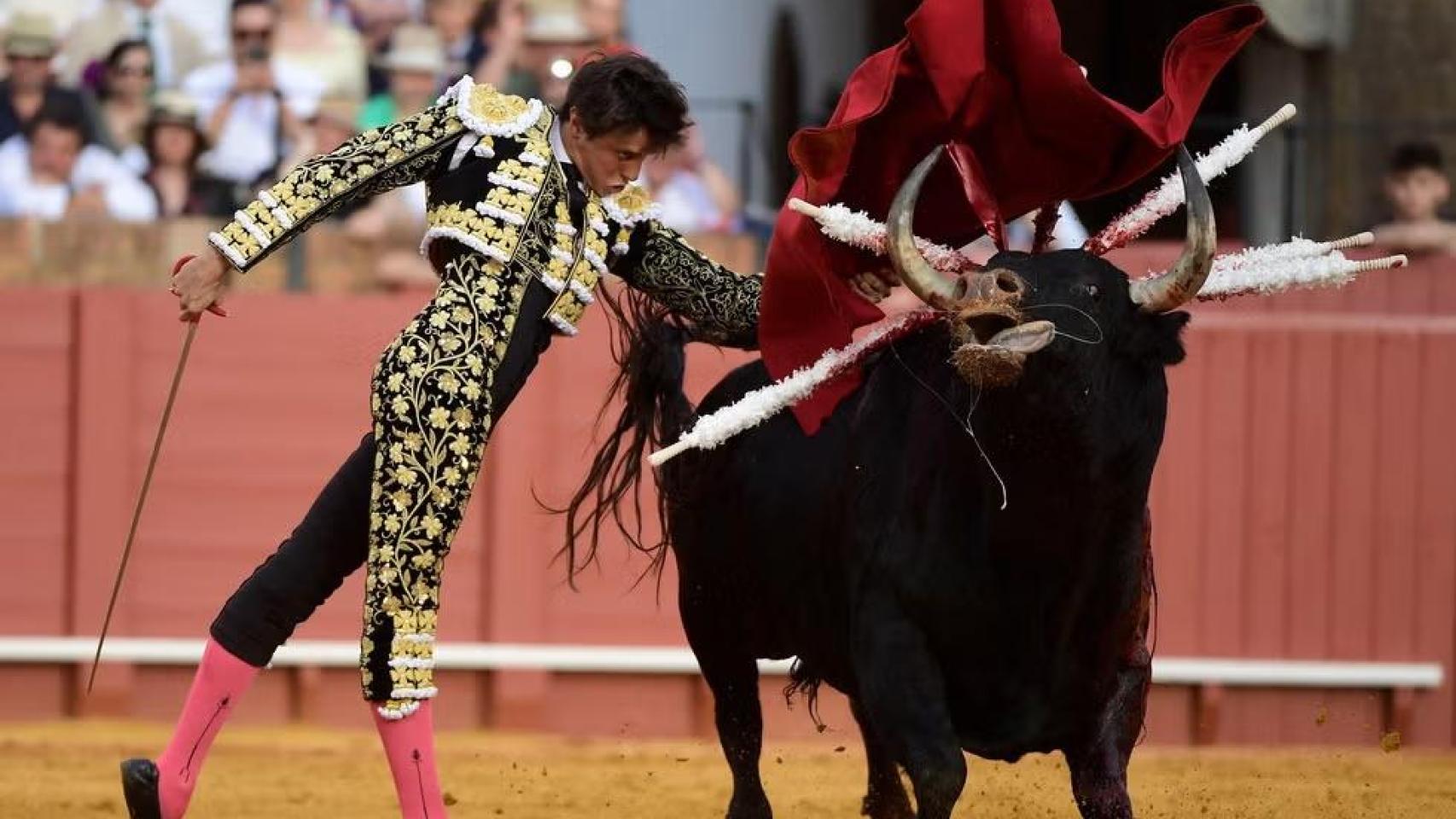 Andrés Roca Rey en 'Tardes de soledad', de Albert Serra