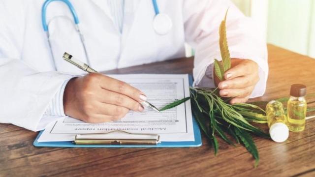 Imagen de un médico escribiendo y con unas hojas de cannabis en la mano.