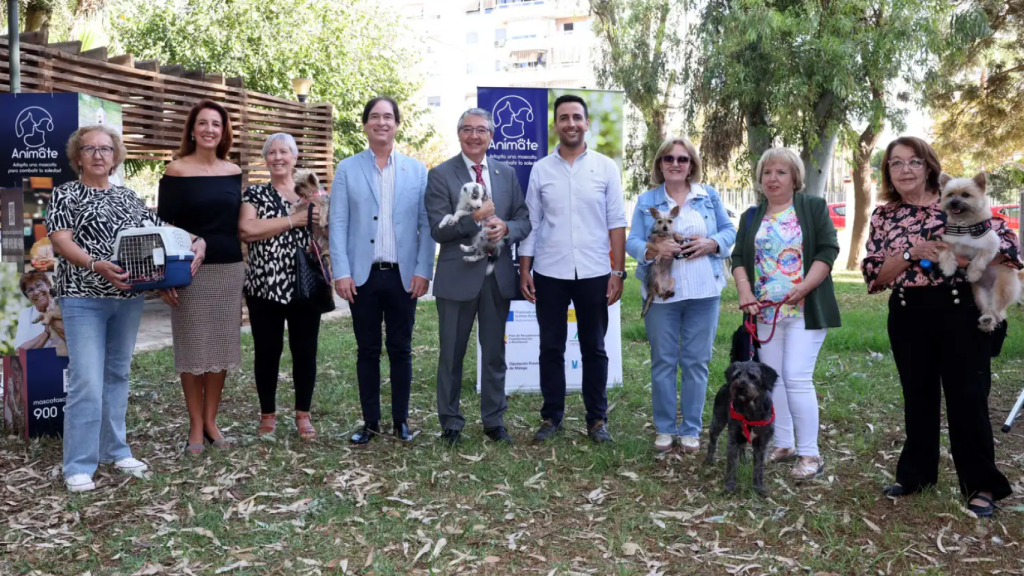 Presentación del programa 'Anímate', destinado a personas mayores.