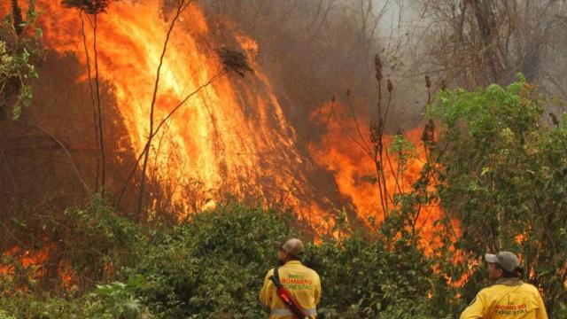 Bolivia declara “desastre nacional” por la magnitud de los incendios forestales