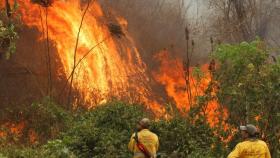 Bolivia declara “desastre nacional” por la magnitud de los incendios forestales