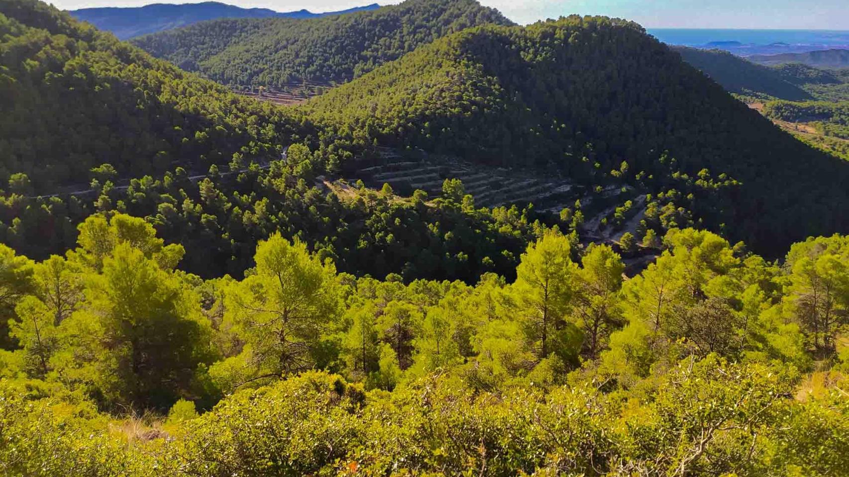 La Sierra de Carrasqueta.