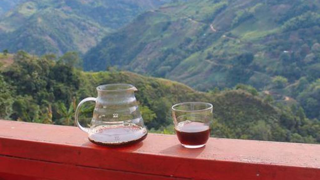 Vistas del cafetal de finca La Noria, en Colombia.