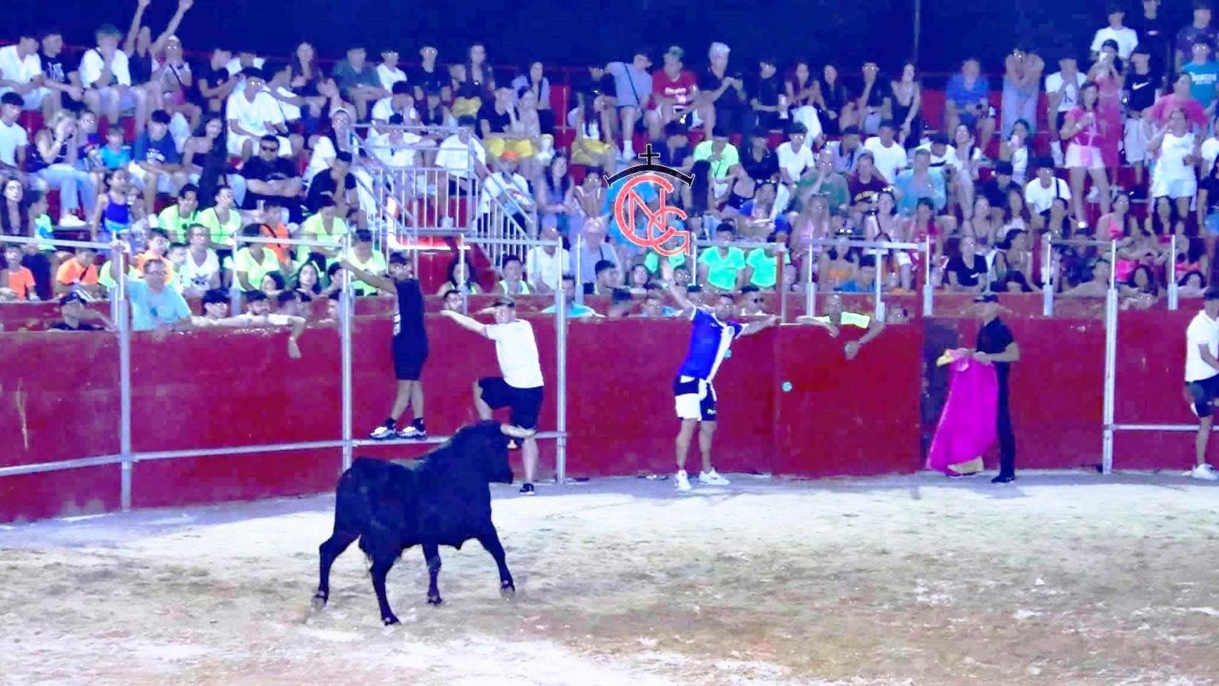 Una capea en una plaza de toros de Castilla y León