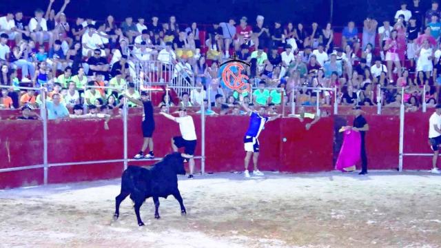 Una capea en una plaza de toros de Castilla y León