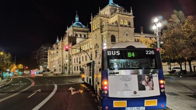 Un búho en la noche vallisoletana