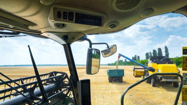 Trabajos de agricultura.