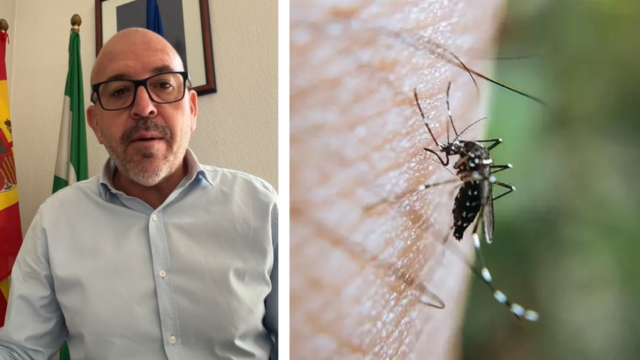 Jorge Gallardo y un mosquito.